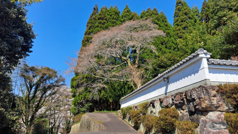 慧印道場の聖境