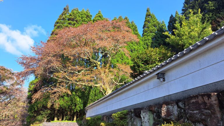 慧印道場の聖境