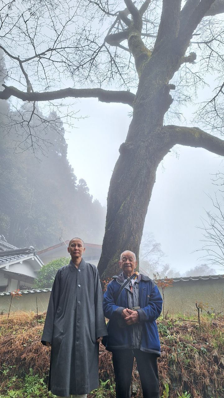 書記長圓莊法師と聖禪老師、樹齢三百年の桜の木の下で記念撮影